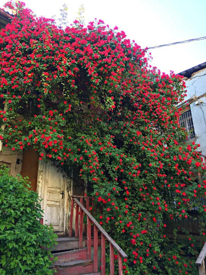 Apartment In Cozy Little Yard Tbilisi ภายนอก รูปภาพ